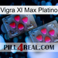 Vigra Xl Max Platinum 14